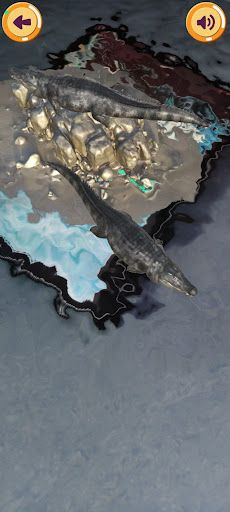 Wild Wonders - Screenshot 4