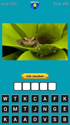 Teka Teki Hewan - Screenshot 3