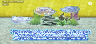 My Asian arowana Aquarium - Screenshot 2
