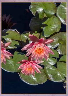 Spin Puzzle 3 Pro - Screenshot 4