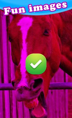 Train Your Memory - Screenshot 2