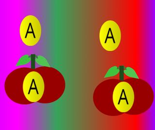 Apple Point - Screenshot 2