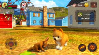 Pomeranian Dog Simulator - Screenshot 3