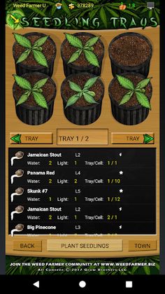 Weed Farmer University - Screenshot 4