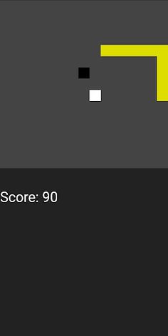 Snake Project - Screenshot 2