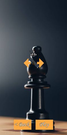 Chess Game Multiplayer Offline - Screenshot 4