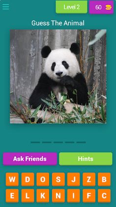 MY GUESS THE PIC - Screenshot 3