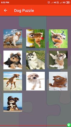Dog Puzzle - Screenshot 4