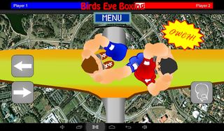 Birds Eye Boxing (Premium) - Screenshot 2