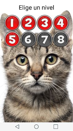 Picture Macth Game -Memory - Screenshot 4