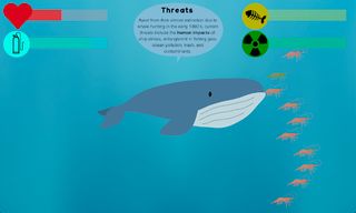 Marine Mammal Mania - Screenshot 1