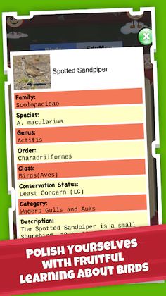 Birds Jigsaw Puzzle Game: Amaz - Screenshot 3