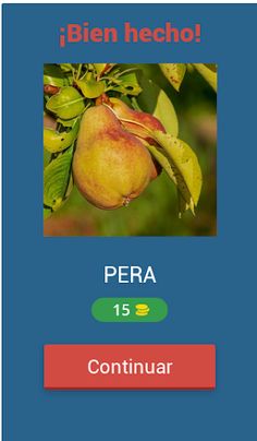 Spanish words Master - Screenshot 2