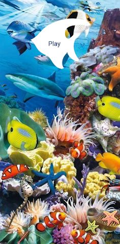 Atrraper - Screenshot 2