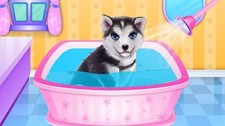 Husky Puppy Spa Salon - Screenshot 2