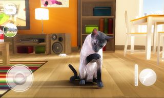 Talking Blue Siamese Cat - Screenshot 1
