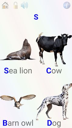 Animals, games, curiosities - Screenshot 4