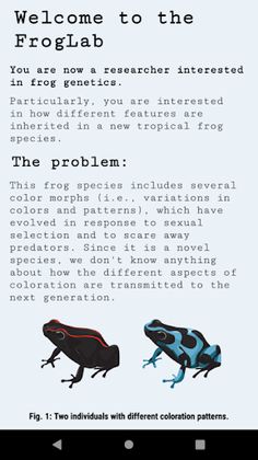 FrogLab - Screenshot 3