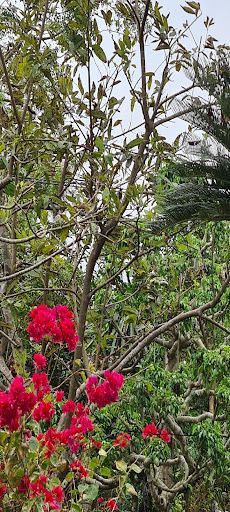 Maichel football games - Screenshot 1