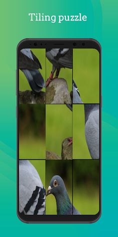 Puzzle Game - Screenshot 1