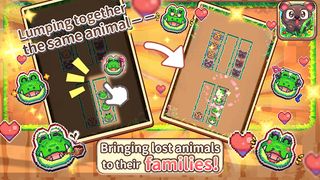 Animal Sort Puzzle - Screenshot 2