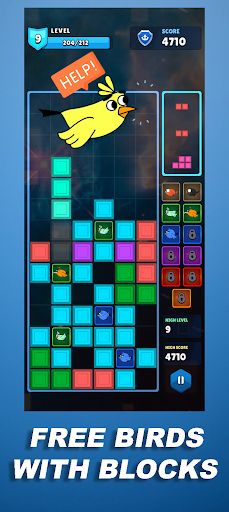 Bird Block Puzzle Master + - Screenshot 2