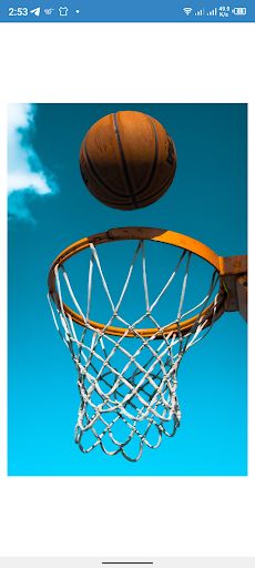 Basketball World - Screenshot 1