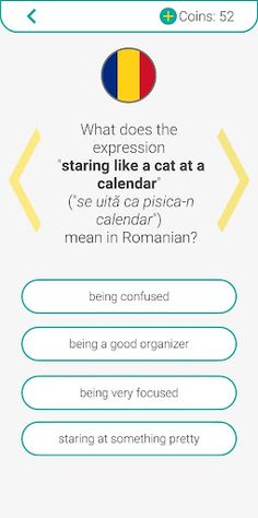 LingWiz - Screenshot 4
