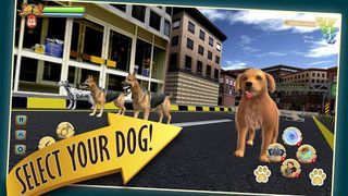 DogLife : Pet Dog Racing Games - Screenshot 2