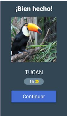 Caballero del conocimiento - Screenshot 2