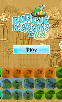 Budgie Nestegons Free - Screenshot 1