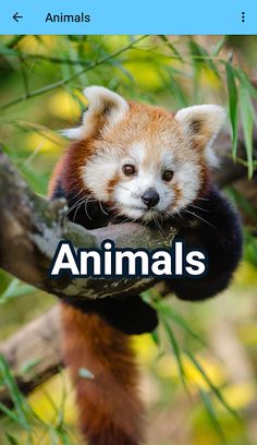 Glotty - Screenshot 2