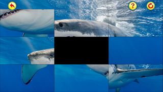 پازل کوسه - Screenshot 3