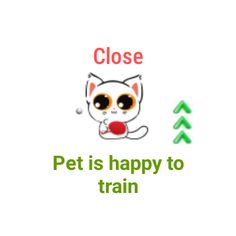 Pro Sport Pet - Screenshot 3