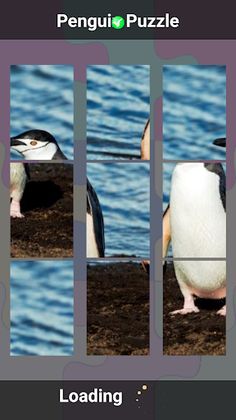 Penguin Puzzle - Screenshot 2