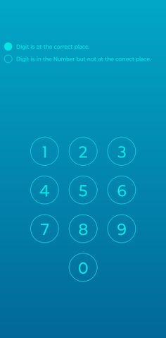 Pin Breaker - Screenshot 2