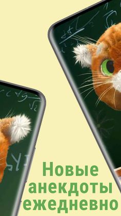 Прикольный Барсик: Анекдоты - Screenshot 2