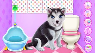 Husky Puppy Spa Salon - Screenshot 1