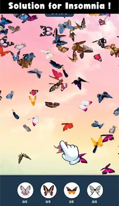 Butterfly Hunt - Screenshot 3