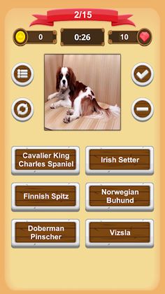 Dogs Quiz - Screenshot 4