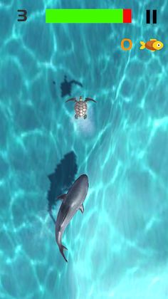 Chase Sea Turtle - Screenshot 3