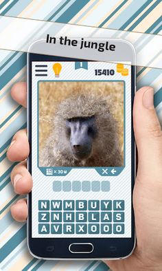 Picture Quiz: Animals - Screenshot 3