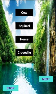 Bingo - Screenshot 4