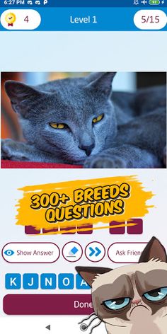 cat breed quiz - Screenshot 4