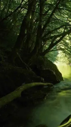 Find The Frog - Screenshot 4