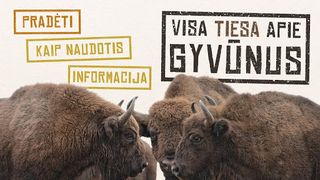 Visa tiesa apie gyvūnus - Screenshot 1