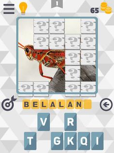 Tebak Gambar Hewan - Screenshot 3