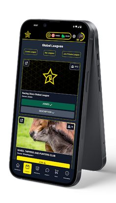 Racing Stars - Screenshot 2