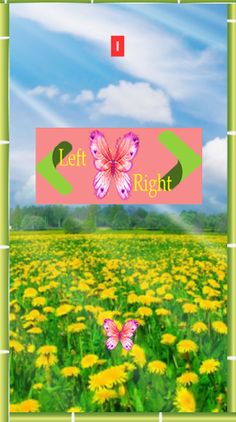 Butterfly 2019 - Screenshot 3