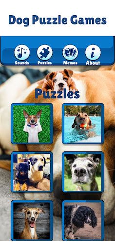 Dog Games For Kids Boys & Girl - Screenshot 3